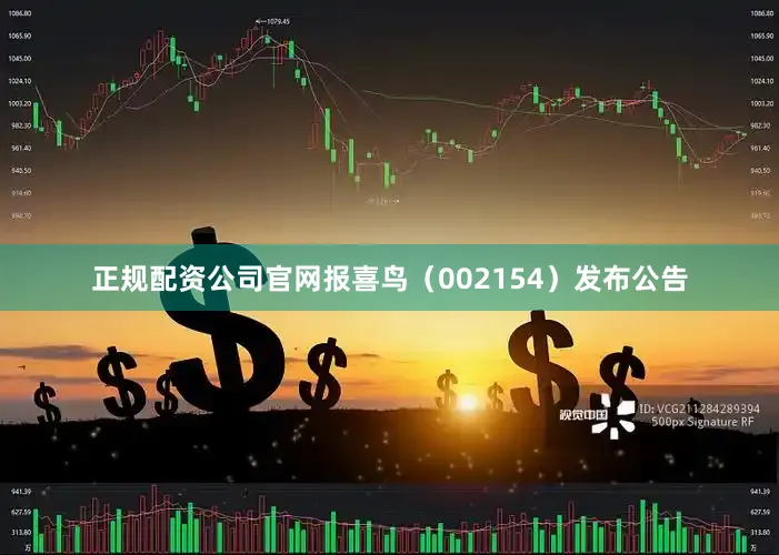 正规配资公司官网报喜鸟（002154）发布公告