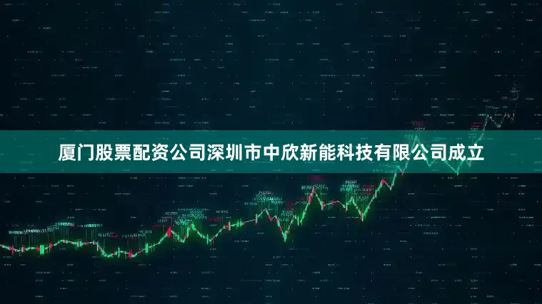 厦门股票配资公司深圳市中欣新能科技有限公司成立