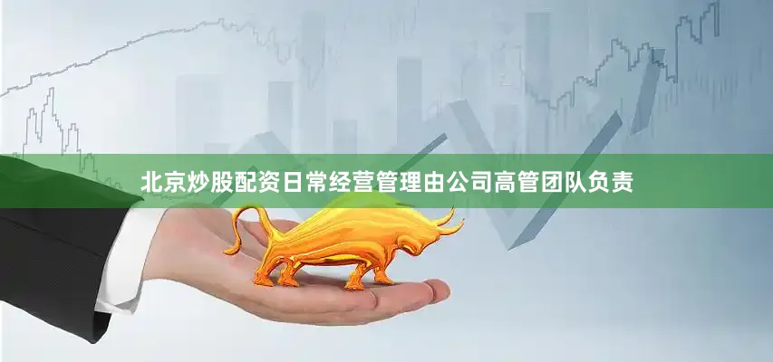 北京炒股配资日常经营管理由公司高管团队负责