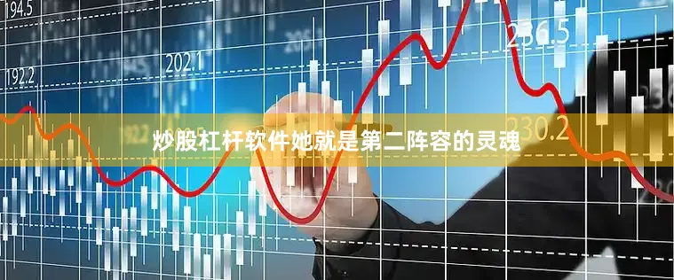 炒股杠杆软件她就是第二阵容的灵魂
