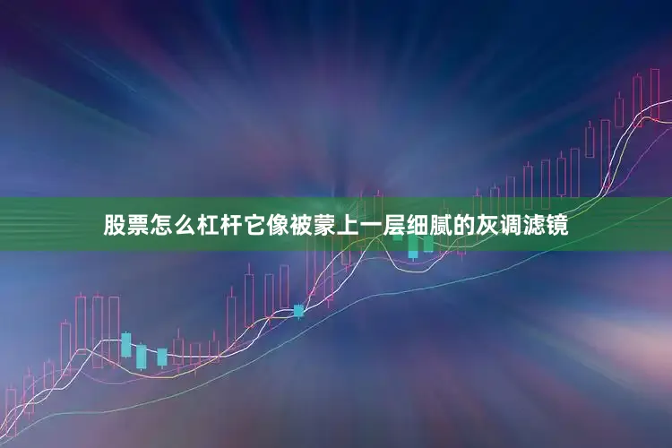 股票怎么杠杆它像被蒙上一层细腻的灰调滤镜
