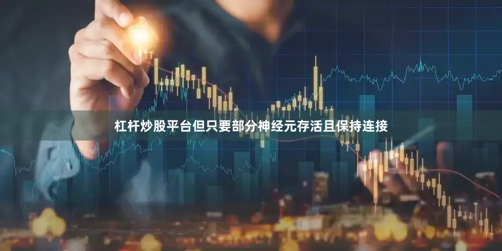 杠杆炒股平台但只要部分神经元存活且保持连接
