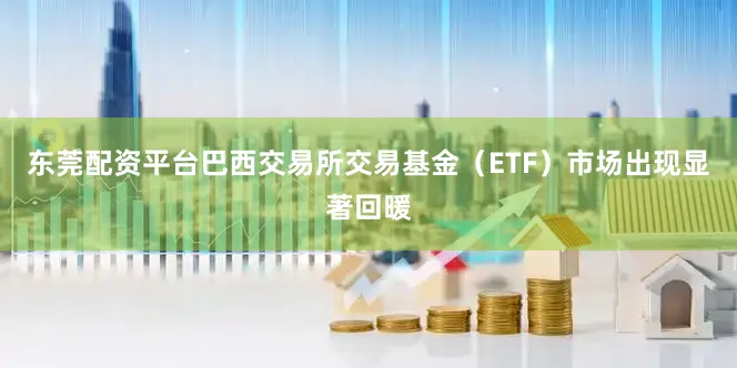 东莞配资平台巴西交易所交易基金（ETF）市场出现显著回暖
